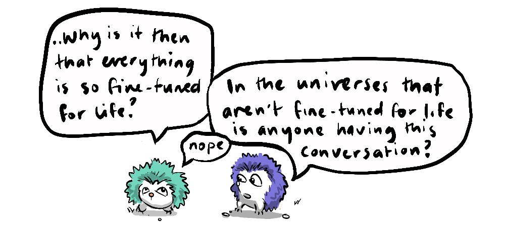 two hedgehogs arguing over fine-tuning questioning if there is a universe without fine-tuning where someone is having this conversation.