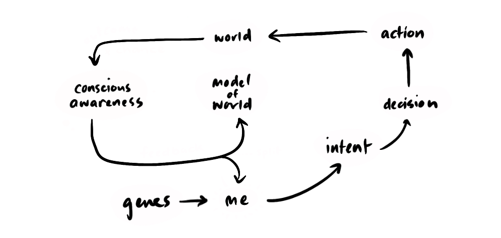 a diagram showing a deterministic loop of intention, action, and feedback