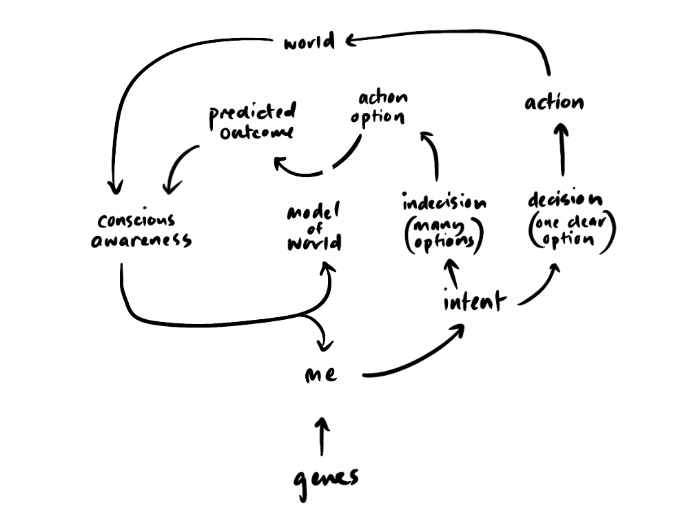 Conscious significance loop