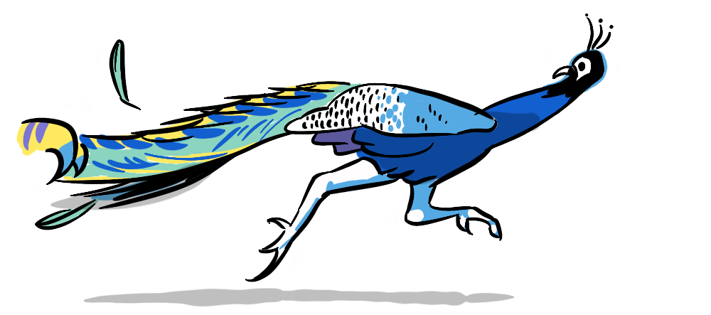 A peacock running from a predator