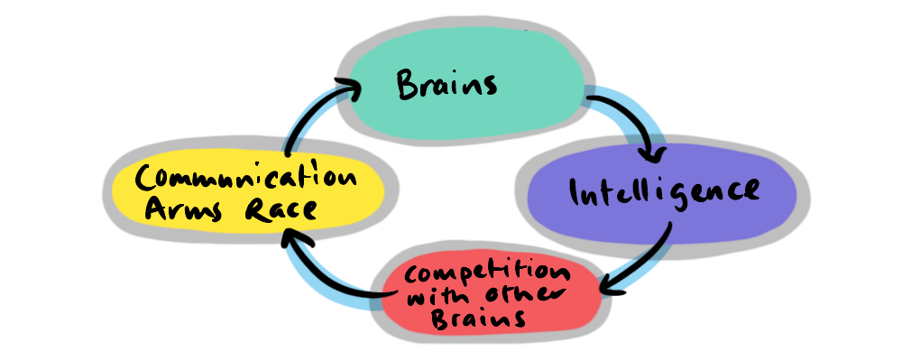 A feedback loop: Brains > Intelligence > Competition with other brains > Communication arms race > Brains