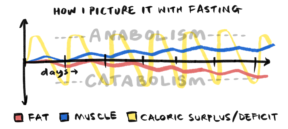 A graph showing dopamine and adrenaline levels