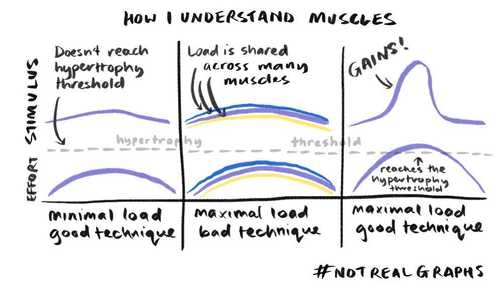 A graph showing the asymetric nature of hypertrophic stimulus.