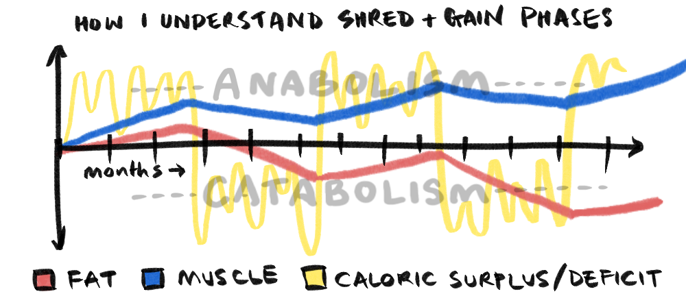 A graph showing dopamine and adrenaline levels