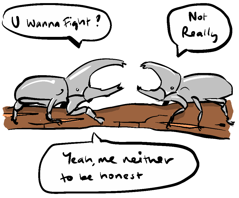 Hercules Beetles avoiding a fight