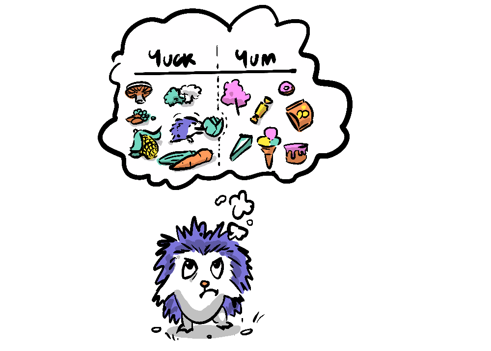 A hedgehog straining to mentally push a broccoli from yuck to yum category in their mind.