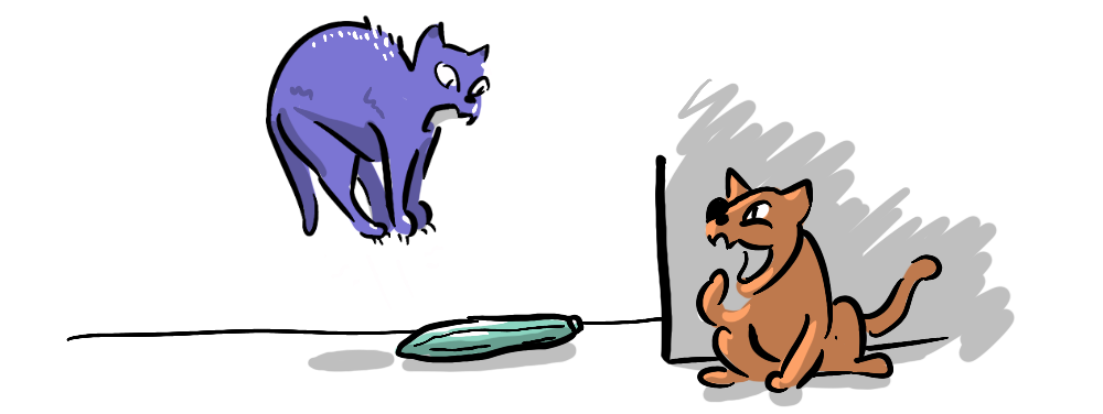A cat jumping at the sight of a cucumber, another cat in the shadows laughing