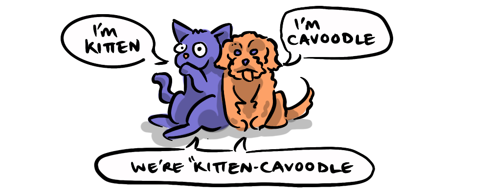 A Vitruvian Man, but it's a rabbit