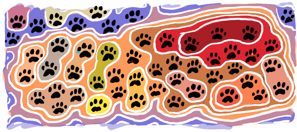 Image of multiple paw sets